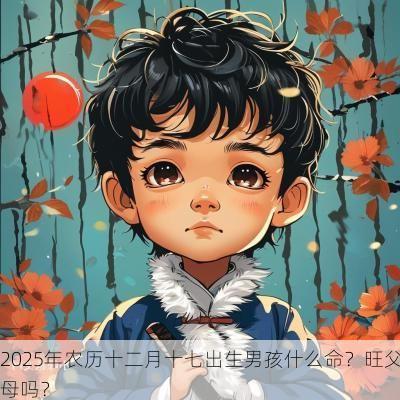2025年农历十二月十七出生男孩什么命？旺父母吗？
