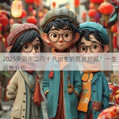 2025癸卯年二月十八出生的男孩好吗？一生运势分析