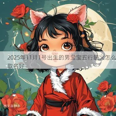 2025年11月1号出生的男宝宝五行缺火怎么取名好