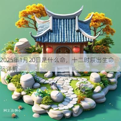 2025年1月20日是什么命，十二时辰出生命运详解