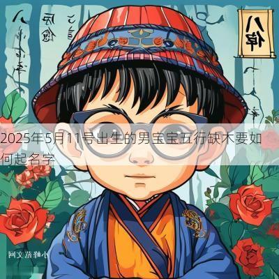 2025年5月11号出生的男宝宝五行缺木要如何起名字