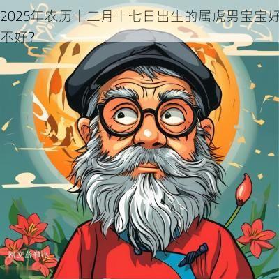 2025年农历十二月十七日出生的属虎男宝宝好不好？