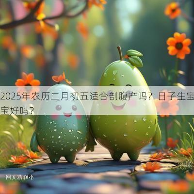 2025年农历二月初五适合剖腹产吗？日子生宝宝好吗？