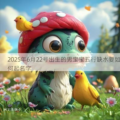 2025年6月22号出生的男宝宝五行缺水要如何起名字
