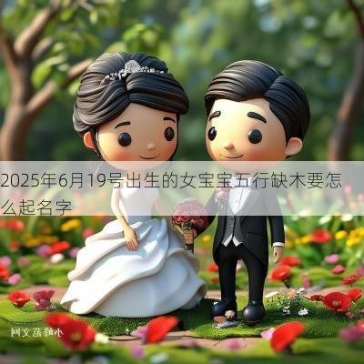 2025年6月19号出生的女宝宝五行缺木要怎么起名字