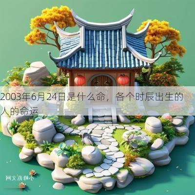 2003年6月24日是什么命，各个时辰出生的人的命运