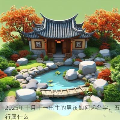 2025年十月十一出生的男孩如何起名字，五行属什么