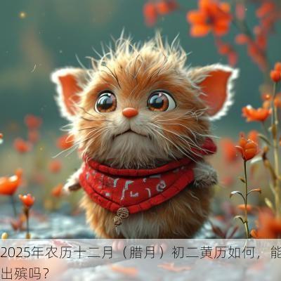 2025年农历十二月（腊月）初二黄历如何，能出殡吗？