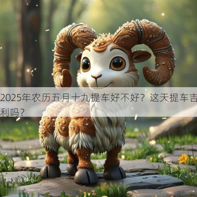 2025年农历五月十九提车好不好？这天提车吉利吗？