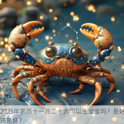 2025年农历十一月二十六可以生宝宝吗？是好还是坏？