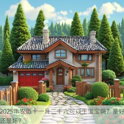 2025年农历十一月二十六可以生宝宝吗？是好还是坏？