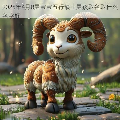 2025年4月8男宝宝五行缺土男孩取名取什么名字好