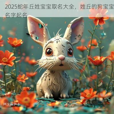 2025蛇年丘姓宝宝取名大全，姓丘的狗宝宝名字起名