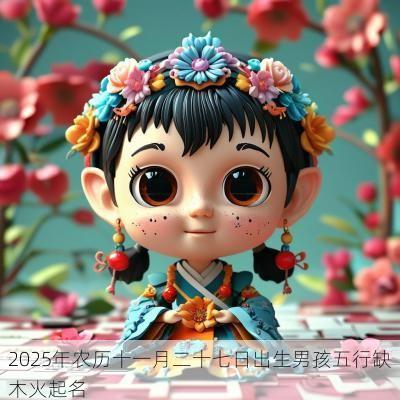 2025年农历十一月二十七日出生男孩五行缺木火起名