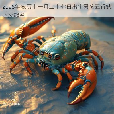 2025年农历十一月二十七日出生男孩五行缺木火起名