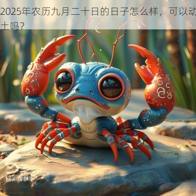 2025年农历九月二十日的日子怎么样，可以动土吗？