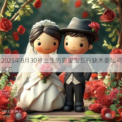 2025年8月30号出生的男宝宝五行缺木要如何起名