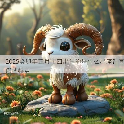 2025癸卯年正月十四出生的是什么星座？有哪些特点