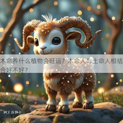 木命养什么植物会旺运？木命人与土命人相结合好不好？