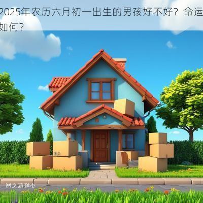 2025年农历六月初一出生的男孩好不好？命运如何？