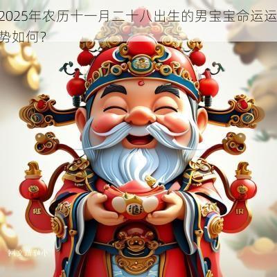 2025年农历十一月二十八出生的男宝宝命运运势如何？