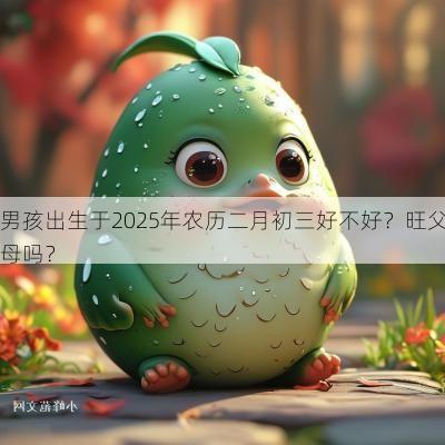 男孩出生于2025年农历二月初三好不好？旺父母吗？