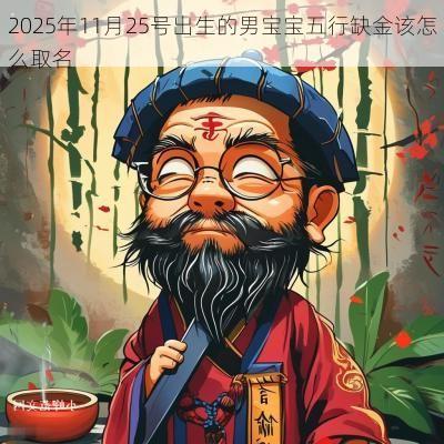 2025年11月25号出生的男宝宝五行缺金该怎么取名