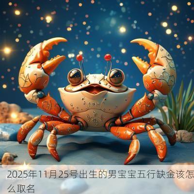 2025年11月25号出生的男宝宝五行缺金该怎么取名