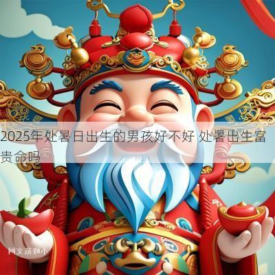 2025年处暑日出生的男孩好不好 处暑出生富贵命吗