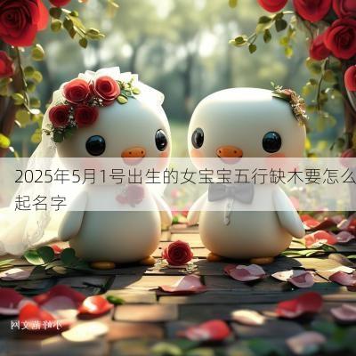 2025年5月1号出生的女宝宝五行缺木要怎么起名字