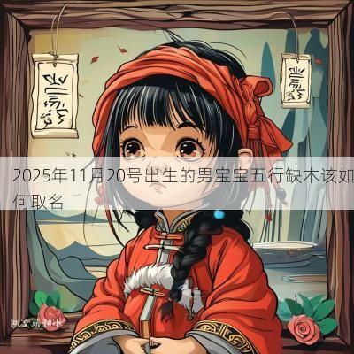 2025年11月20号出生的男宝宝五行缺木该如何取名