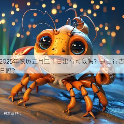 2025年农历五月三十日出行可以吗？是出行吉日吗？