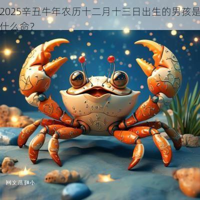 2025辛丑蛇年农历十二月十三日出生的男孩是什么命？