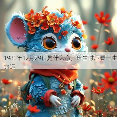 1980年12月29日是什么命，出生时辰看一生命运