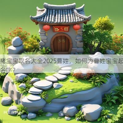 猪宝宝取名大全2025曹姓，如何为曹姓宝宝起名字？