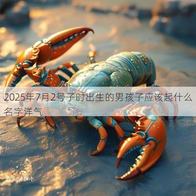 2025年7月2号子时出生的男孩子应该起什么名字洋气 2025年7月2号子时出生的男孩子应该起什么名字洋气