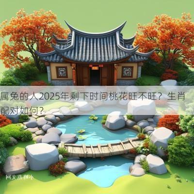 属兔的人2025年剩下时间桃花旺不旺?生肖配对如何? 属兔的人2025年剩下时间桃花旺不旺?生肖配对如何?