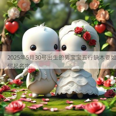 2025年5月30号出生的男宝宝五行缺木要如何起名字 2025年5月30号出生的男宝宝五行缺木要如何起名字