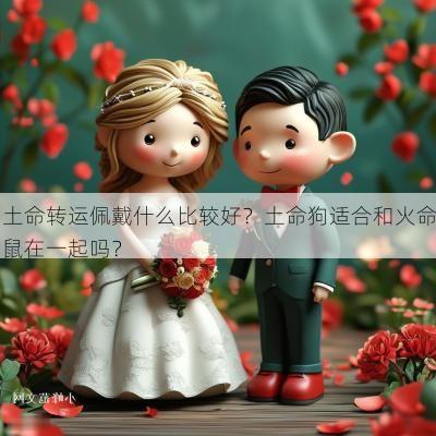 土命转运佩戴什么比较好?土命狗适合和火命鼠在一起吗? 土命转运佩戴什么比较好?土命狗适合和火命鼠在一起吗?