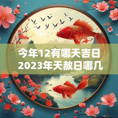 今年12有哪天吉日 2025年天赦日哪几天是吉日