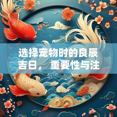 选择宠物时的良辰吉日， 重要性与注意事项