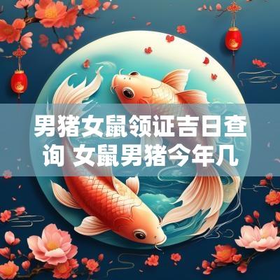 男猪女鼠领证吉日查询 女鼠男猪今年几月结婚好