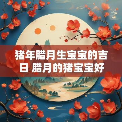 猪年腊月生宝宝的吉日 腊月的猪宝宝好不好