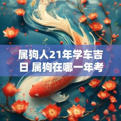 属狗人21年学车吉日 属狗在哪一年考驾照最好