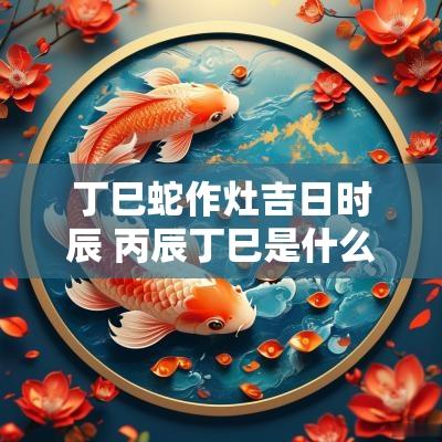 丁巳蛇作灶吉日时辰 丙辰丁巳是什么时辰