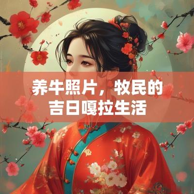 养牛照片，牧民的吉日嘎拉生活