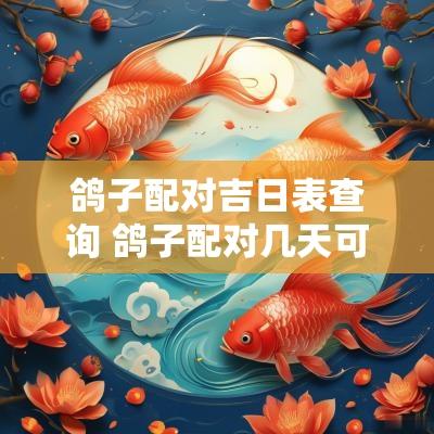 鸽子配对吉日表查询 鸽子配对几天可以成功