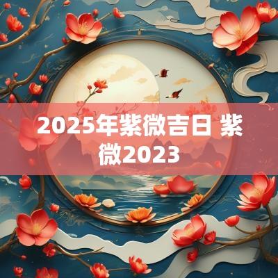 2025年紫微吉日 紫微2025
