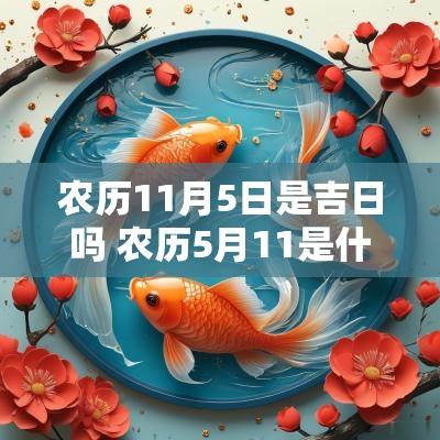 农历11月5日是吉日吗 农历5月11是什么日子