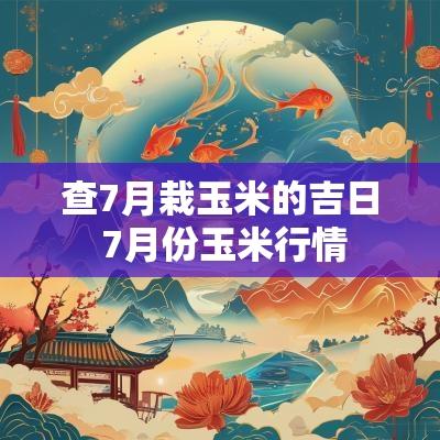 查7月栽玉米的吉日 7月份玉米行情
